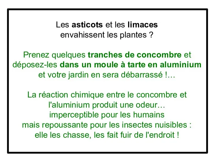 Les asticots et les limaces envahissent les plantes ? Prenez quelques tranches