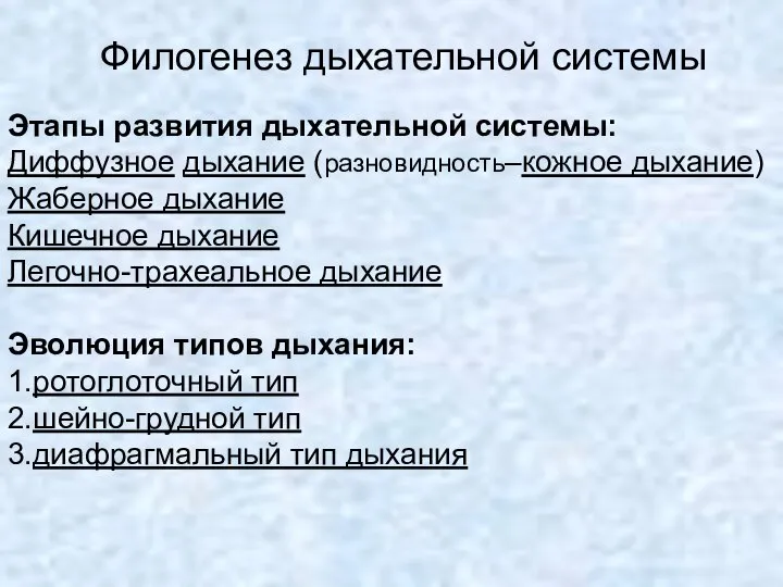 Этапы развития дыхательной системы: Диффузное дыхание (разновидность–кожное дыхание) Жаберное дыхание Кишечное дыхание