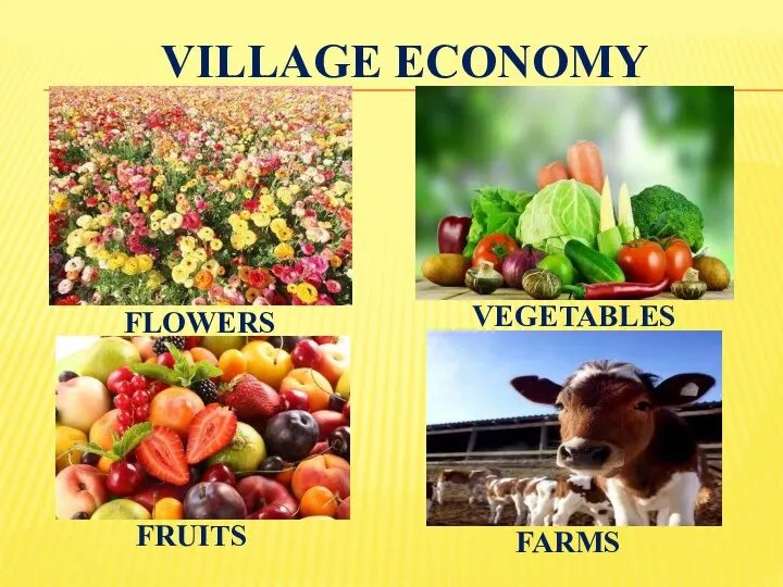 VILLAGE ECONOMY FLOWERS VEGETABLES FRUITS FARMS