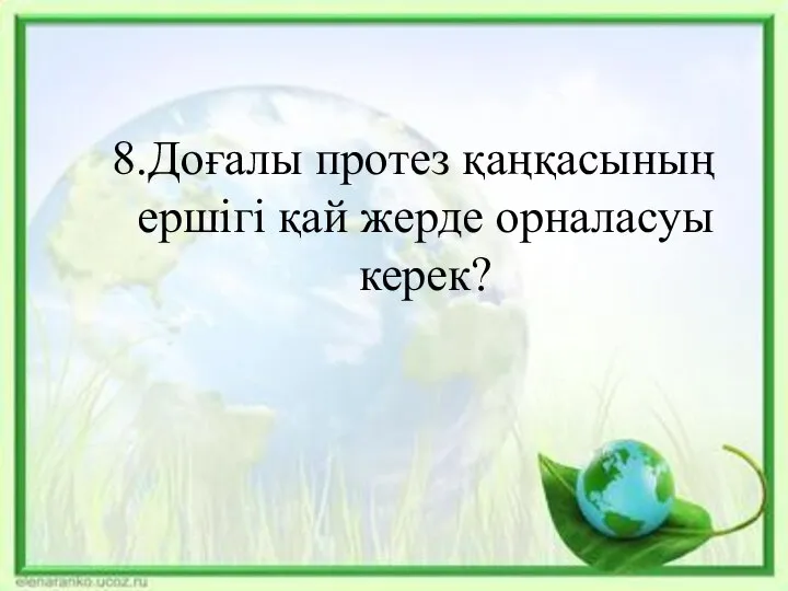 8.Доғалы протез қаңқасының ершігі қай жерде орналасуы керек?