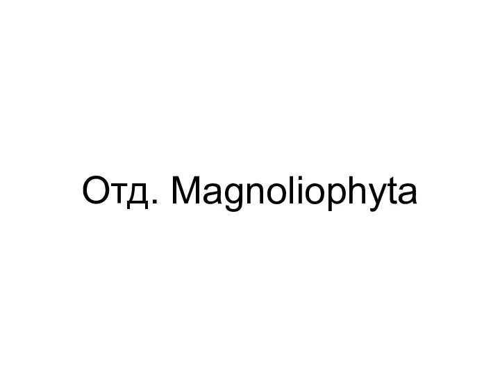 Отд. Magnoliophyta