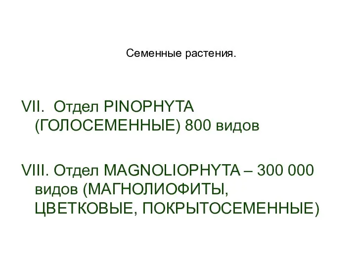 Семенные растения. VII. Отдел PINOPHYTA (ГОЛОСЕМЕННЫЕ) 800 видов VIII. Отдел MAGNOLIOPHYTA –