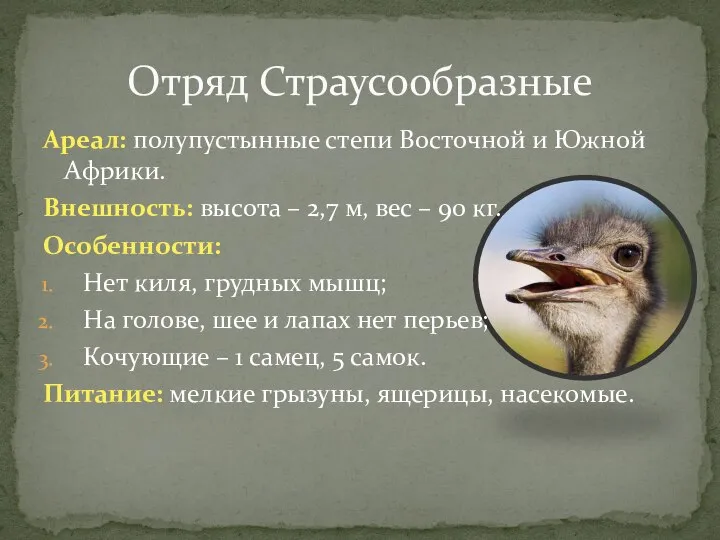 Ареал: полупустынные степи Восточной и Южной Африки. Внешность: высота – 2,7 м,