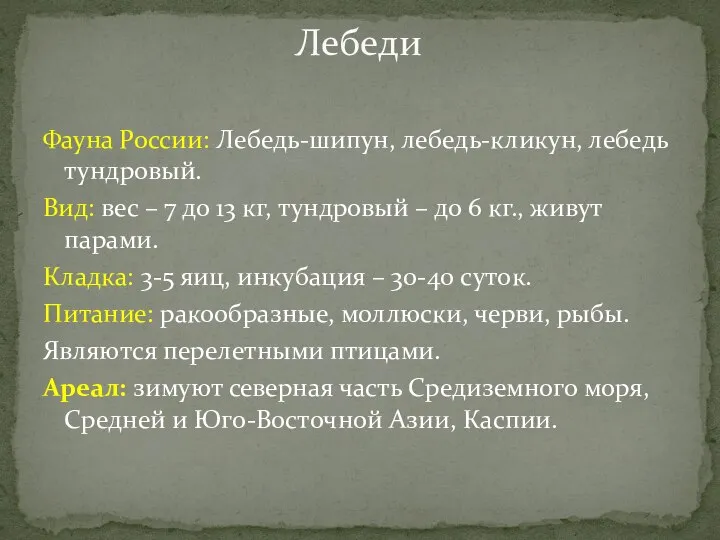 Фауна России: Лебедь-шипун, лебедь-кликун, лебедь тундровый. Вид: вес – 7 до 13