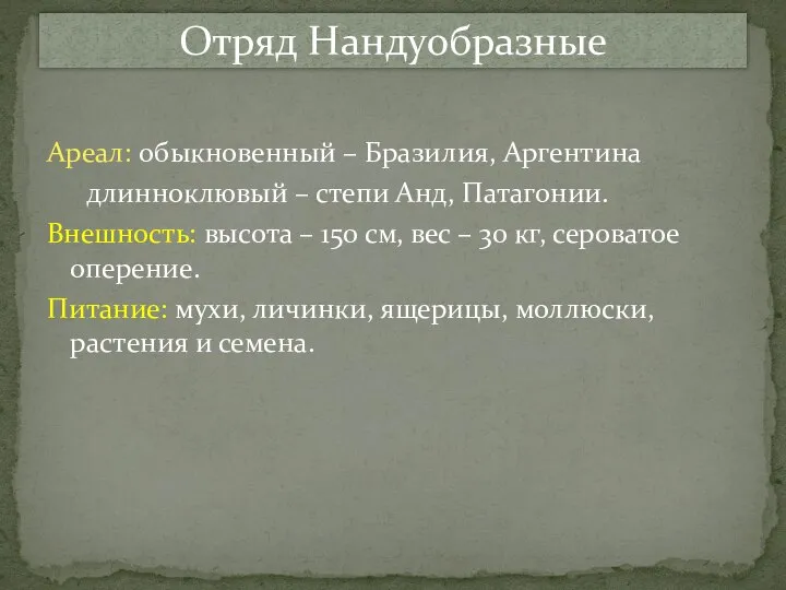 Ареал: обыкновенный – Бразилия, Аргентина длинноклювый – степи Анд, Патагонии. Внешность: высота