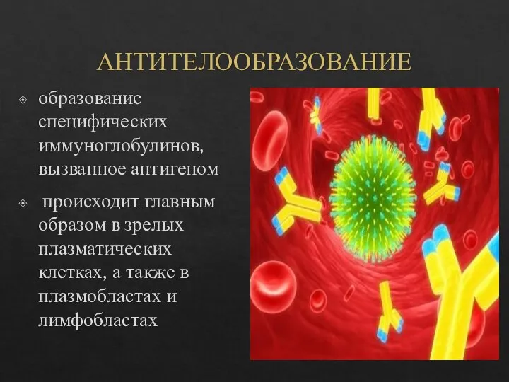 АНТИТЕЛООБРАЗОВАНИЕ образование специфических иммуноглобулинов, вызванное антигеном происходит главным образом в зрелых плазматических