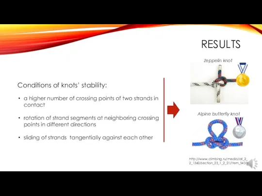 RESULTS Conditions of knots’ stability: a higher number of crossing points of