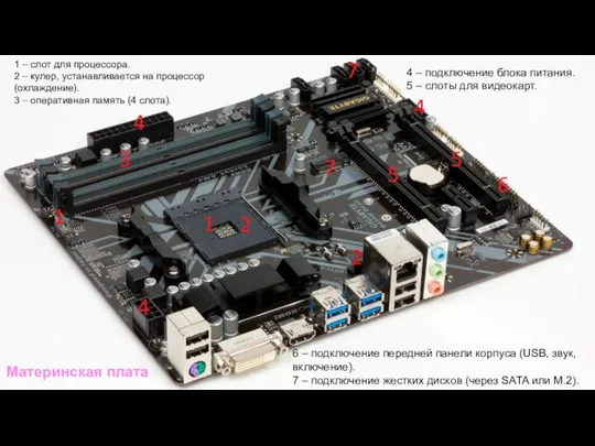 — 1 – слот для процессора. 2 – кулер, устанавливается на процессор