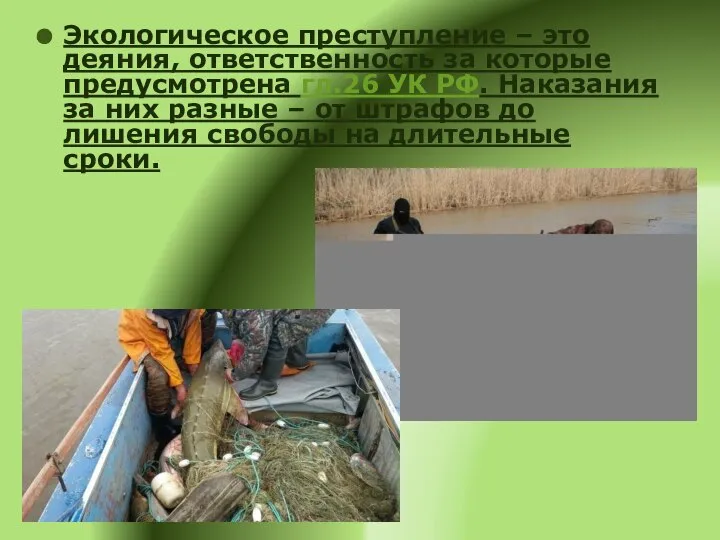 Экологическое преступление – это деяния, ответственность за которые предусмотрена гл.26 УК РФ.