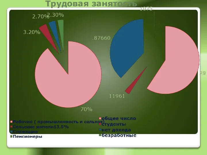 Трудовая занятость