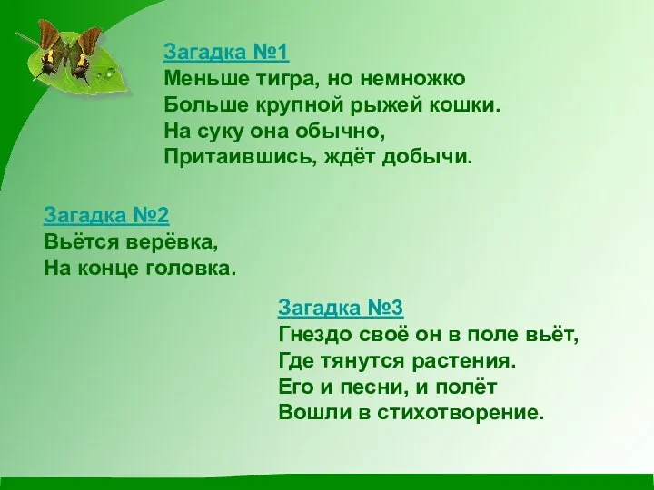 Загадка №1 Меньше тигра, но немножко Больше крупной рыжей кошки. На суку