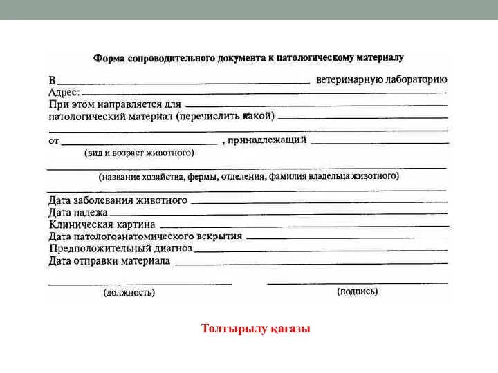 Толтырылу қағазы