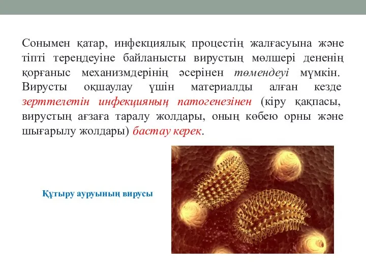 Сонымен қатар, инфекциялық процестің жалғасуына және тіпті тереңдеуіне байланысты вирустың мөлшері дененің