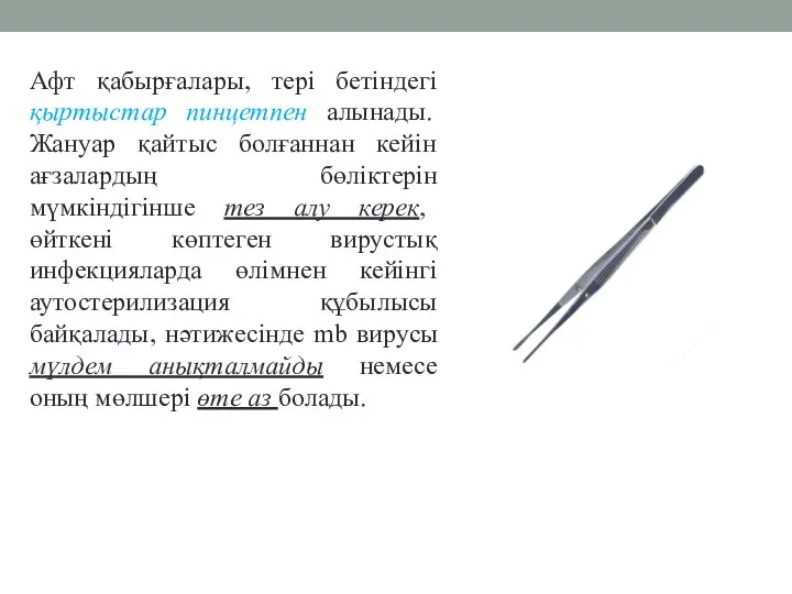 Афт қабырғалары, тері бетіндегі қыртыстар пинцетпен алынады. Жануар қайтыс болғаннан кейін ағзалардың