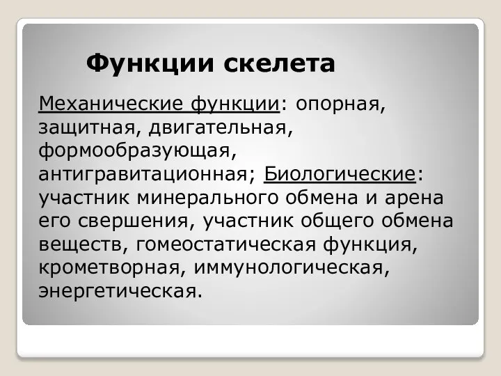 Функции скелета Механические функции: опорная, защитная, двигательная, формообразующая, антигравитационная; Биологические: участник минерального