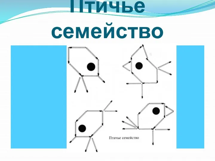 Птичье семейство