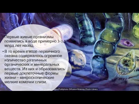 Первые живые организмы появились в воде примерно 3-3,5 млрд.лет назад. В то