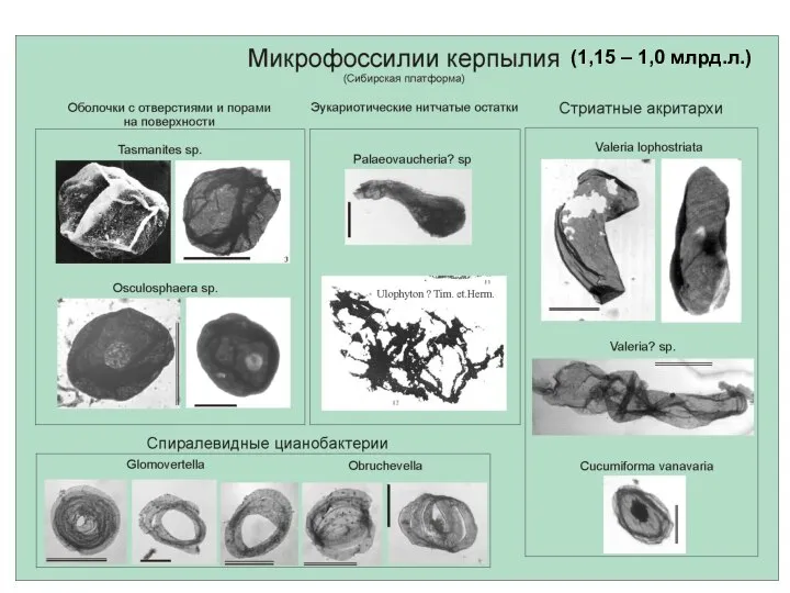 (1,15 – 1,0 млрд.л.)