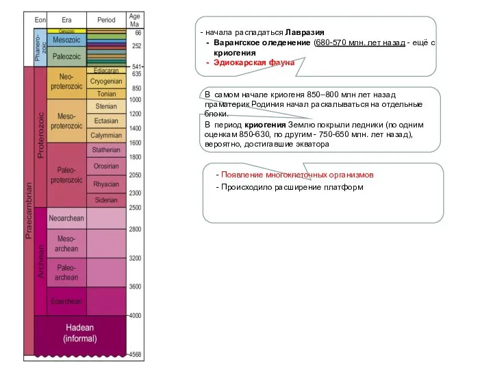 - - начала распадаться Лавразия Варангское оледенение (680-570 млн. лет назад -