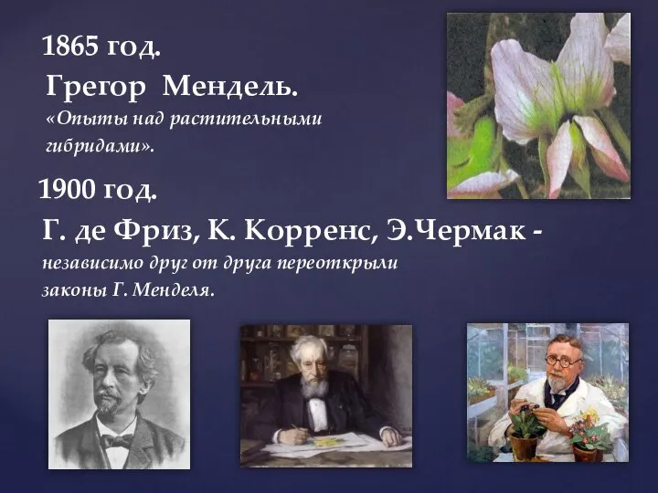 1865 год. Грегор Мендель. «Опыты над растительными гибридами». 1900 год. Г. де