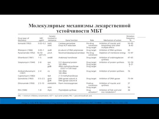 Молекулярные механизмы лекарственной устойчивости МБТ Zhang, Y.; Yew, W.W. Mechanisms of drug