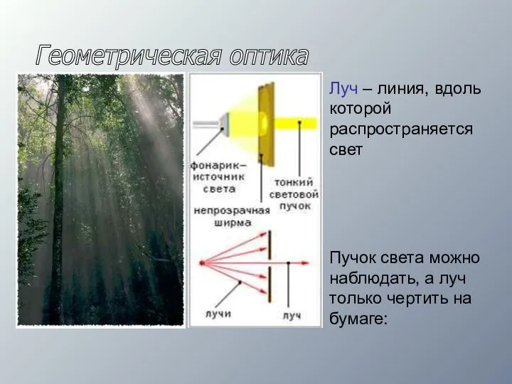 Геометрическая оптика Луч – линия, вдоль которой распространяется свет Пучок света можно