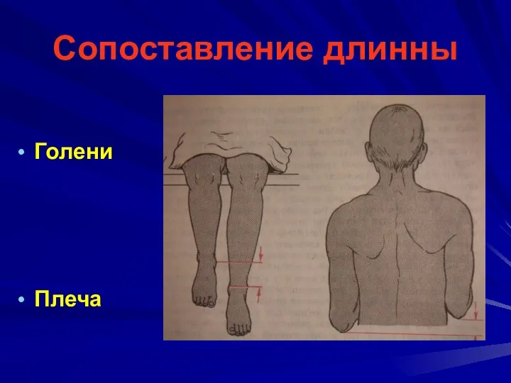 Сопоставление длинны Голени Плеча