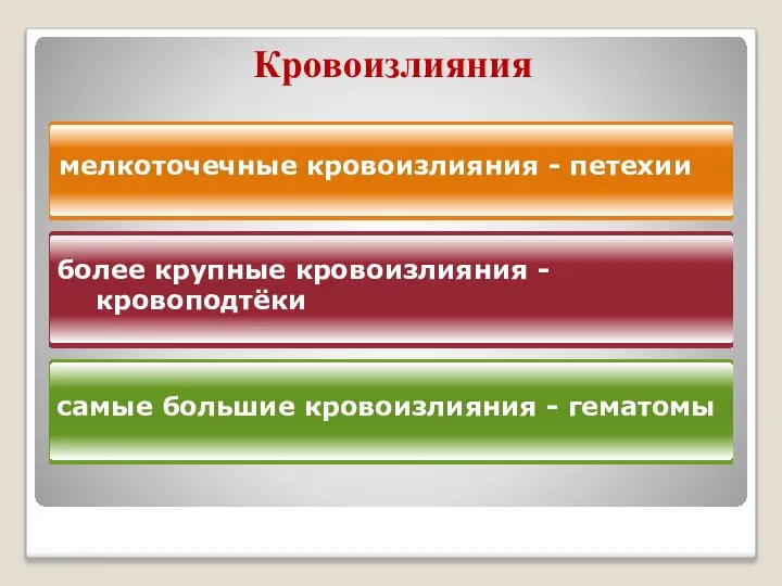 Кровоизлияния мелкоточечные кровоизлияния - петехии более крупные кровоизлияния - кровоподтёки самые большие кровоизлияния - гематомы