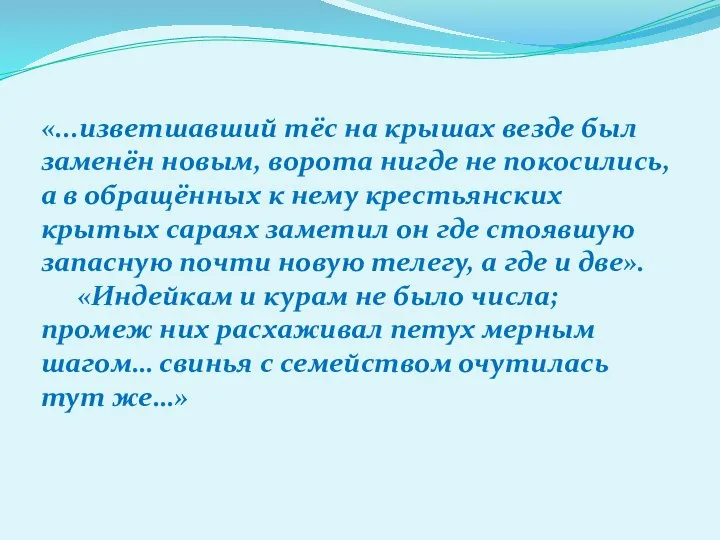 «...изветшавший тёс на крышах везде был заменён новым, ворота нигде не покосились,