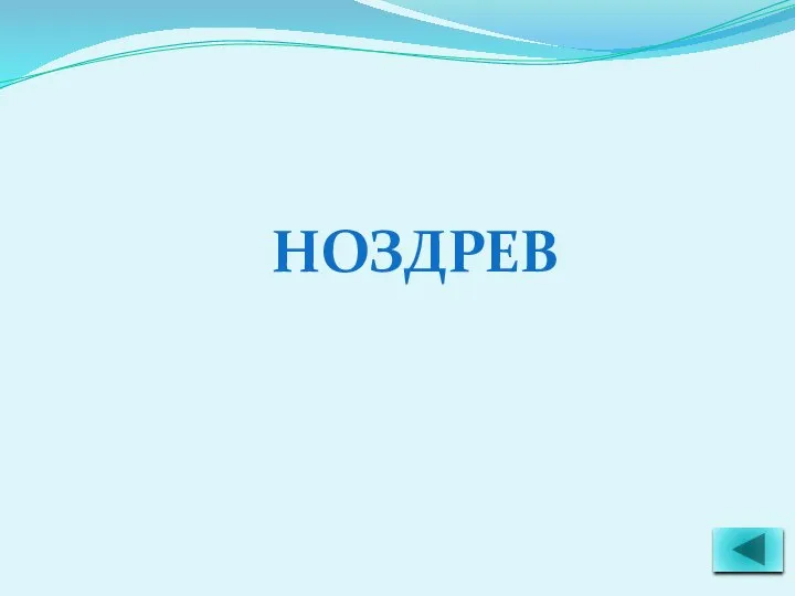 НОЗДРЕВ