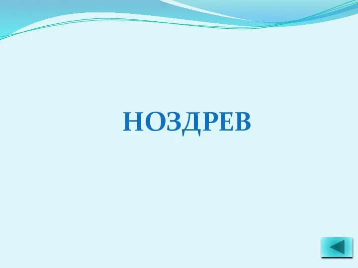 НОЗДРЕВ