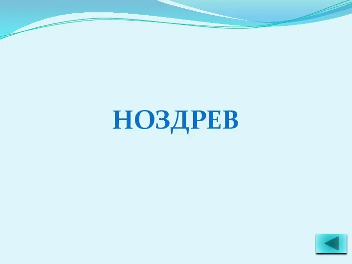 НОЗДРЕВ