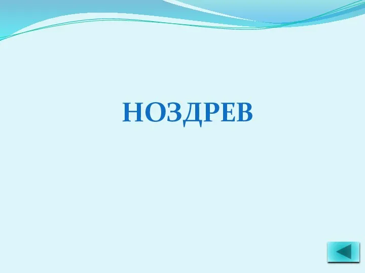 НОЗДРЕВ