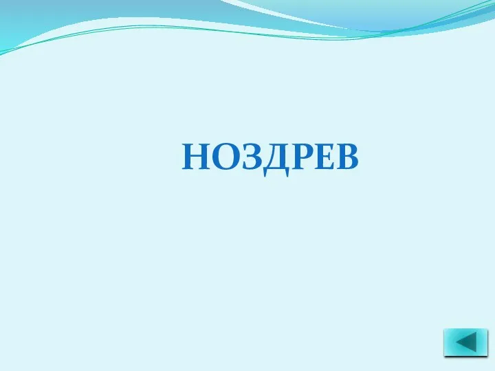 НОЗДРЕВ