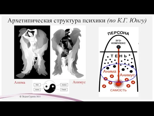 Архетипическая структура психики (по К.Г. Юнгу) © Лидия Сурина 2021 Анима Анимус