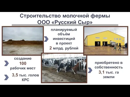 3,5 тыс. голов КРС Строительство молочной фермы ООО «Русский Сыр» планируемый объём