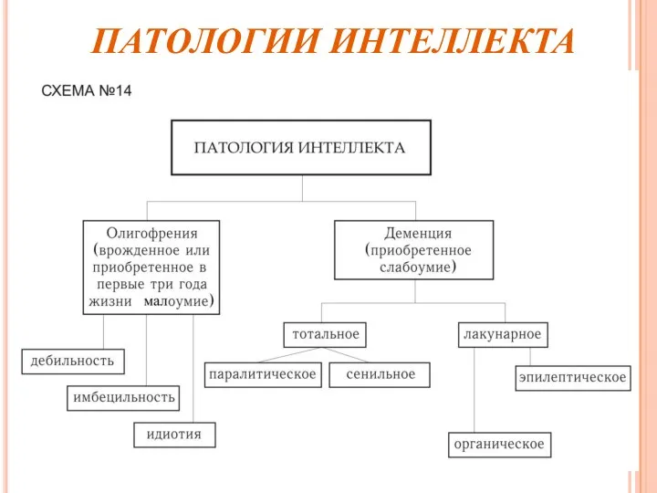 ПАТОЛОГИИ ИНТЕЛЛЕКТА