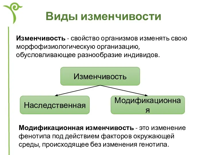 Виды изменчивости Изменчивость Наследственная Модификационная Изменчивость - свойство организмов изменять свою морфофизиологическую