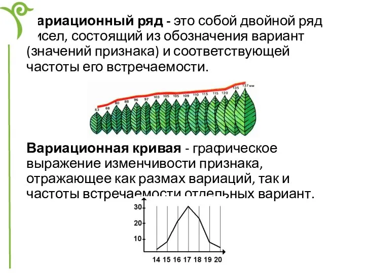 Вариационный ряд - это собой двойной ряд чисел, состоящий из обозначения вариант