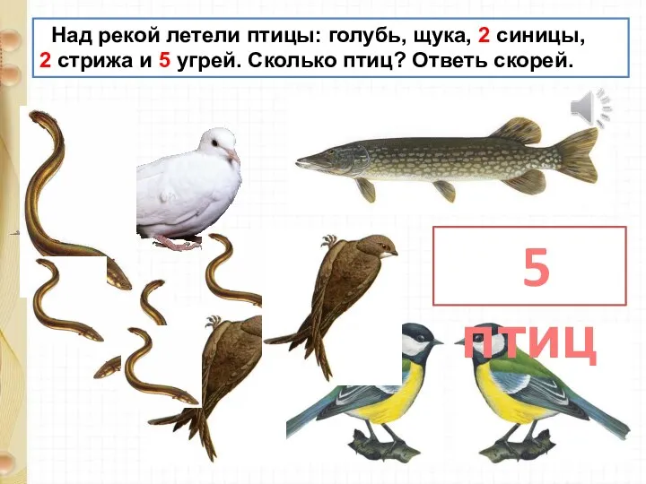 Над рекой летели птицы: голубь, щука, 2 синицы, 2 стрижа и 5