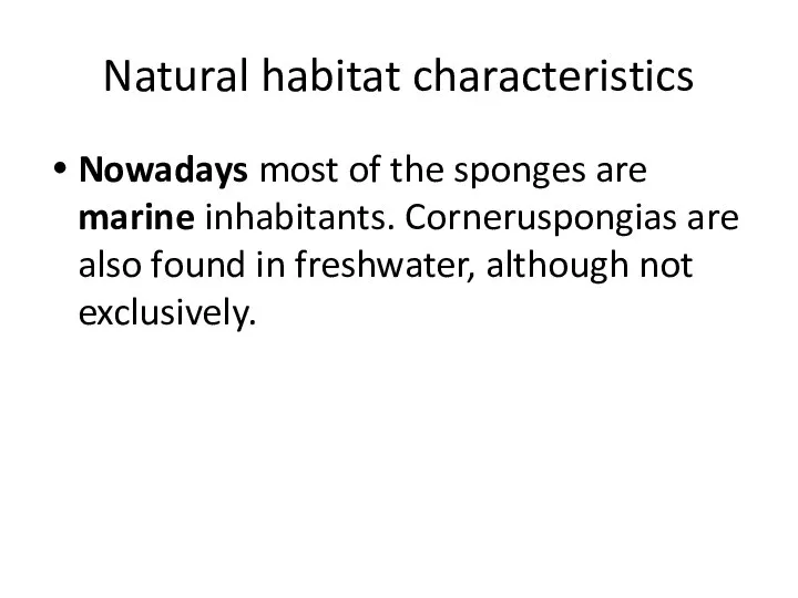 Natural habitat characteristics Nowadays most of the sponges are marine inhabitants. Corneruspongias