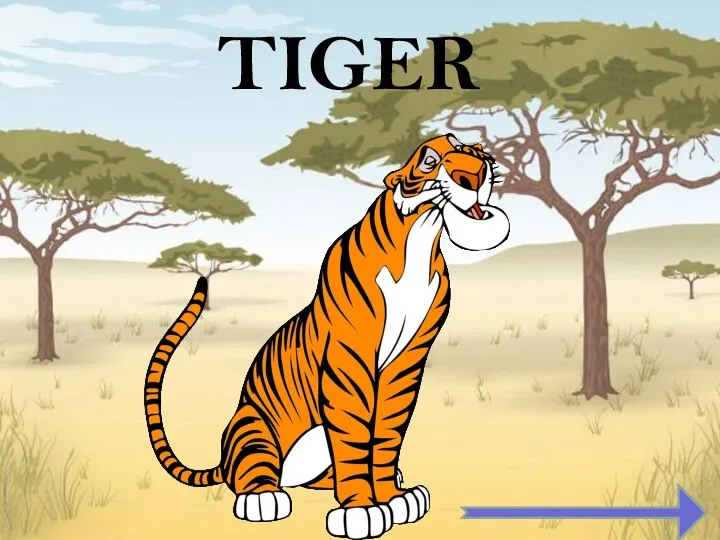 TIGER