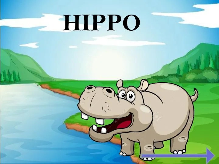 HIPPO