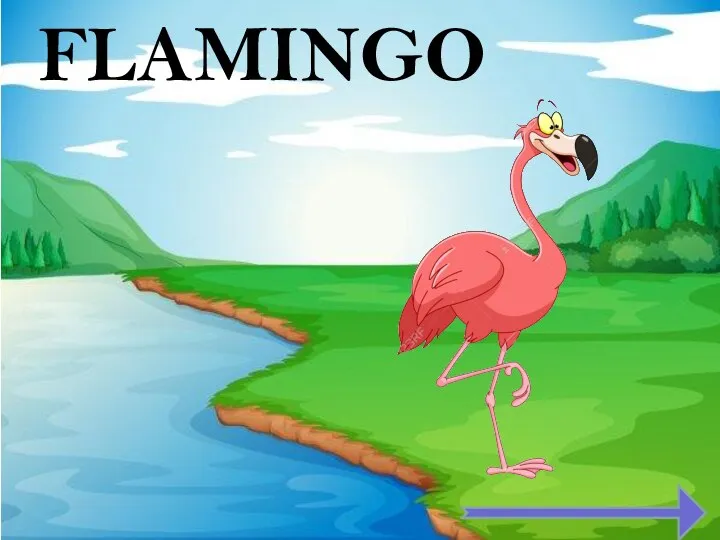 FLAMINGO