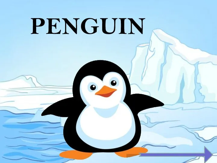 PENGUIN