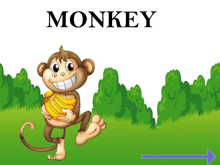 MONKEY