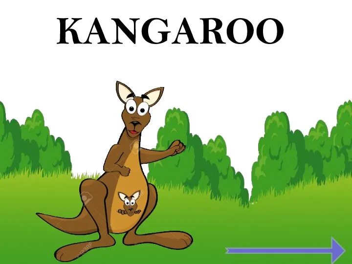 KANGAROO