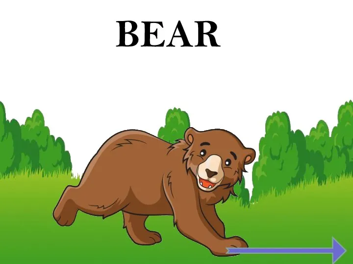 BEAR