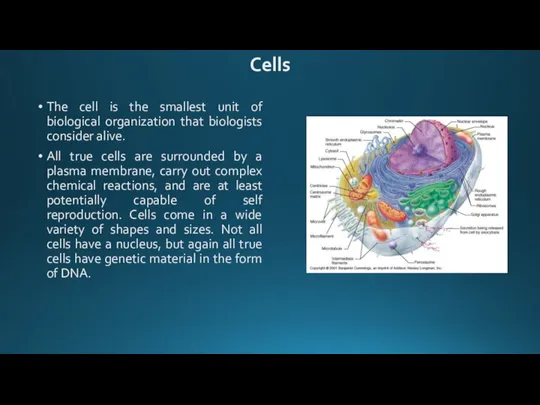 The cell is the smallest unit of biological organization that biologists consider
