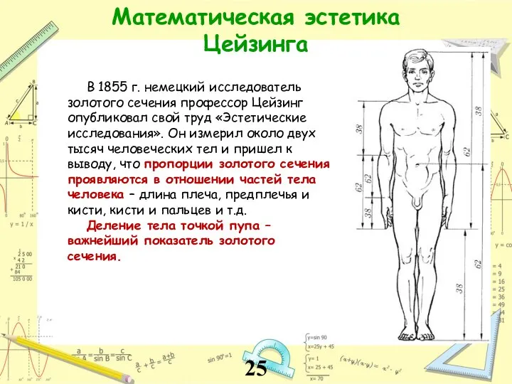 Математическая эстетика Цейзинга В 1855 г. немецкий исследователь золотого сечения профессор Цейзинг